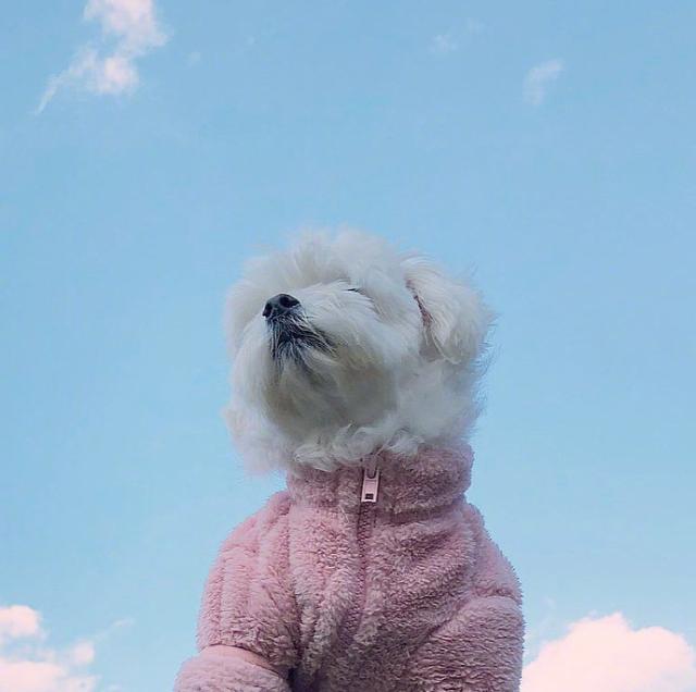 人人点赞的心灵鸡汤语录,句句值千金!-专注于利州本地信息和服务为一体的网站利州江畔