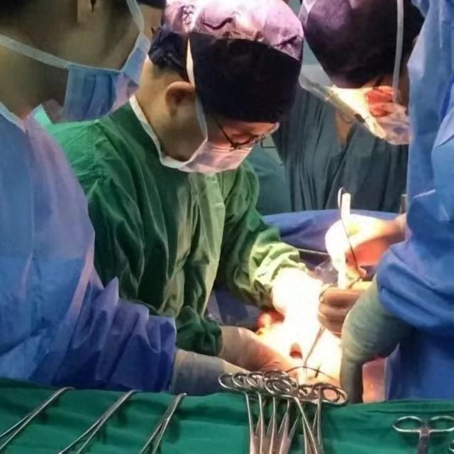中国已分别成功将猪肾和肝移植进人体-专注于利州本地信息和服务为一体的网站利州江畔