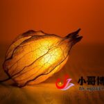 dd141549fefd81f4aed8437c48bc9c53