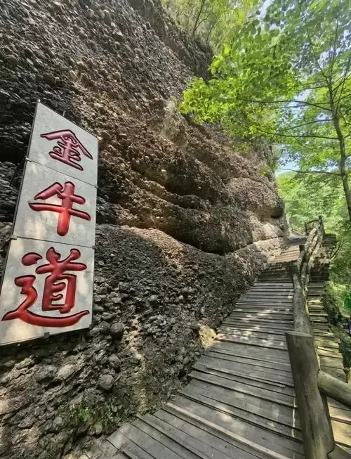 3e65703649200248e171b031d43566d7_u=111599909,110592779&fm=253&fmt=auto&app=138&f=JPEG_w=500&h=653