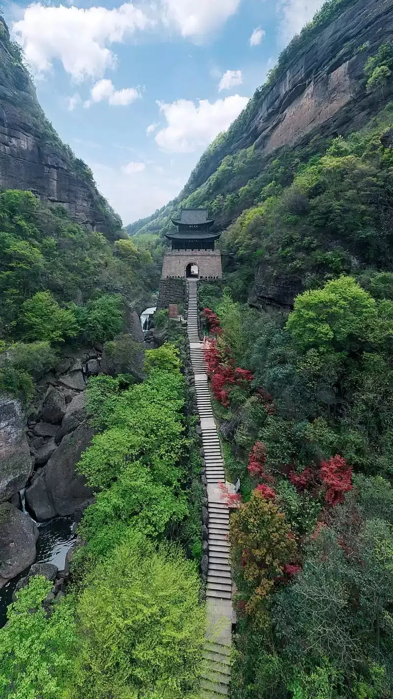 b42711dfc36697f2292e7b3418cb3d8e_u=2209459318,1403713731&fm=253&fmt=auto&app=138&f=JPEG_w=800&h=1421