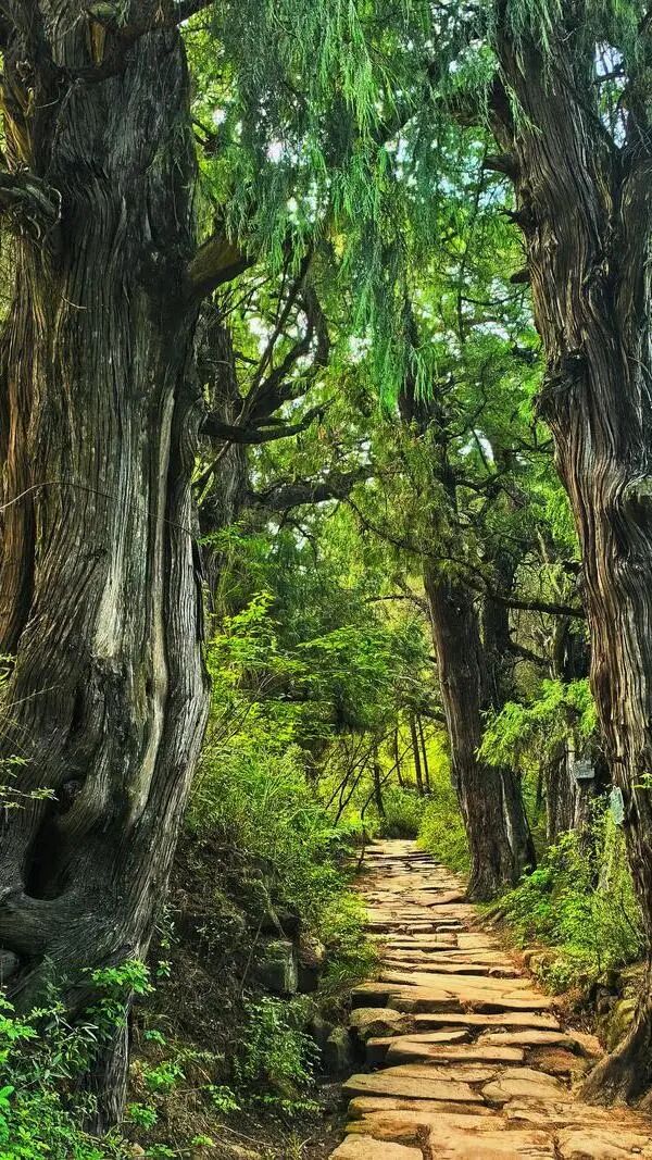 图片[1]-专注于利州本地信息和服务为一体的网站活动预约 | 喜提秋假 一起来画-专注于利州本地信息和服务为一体的网站利州江畔
