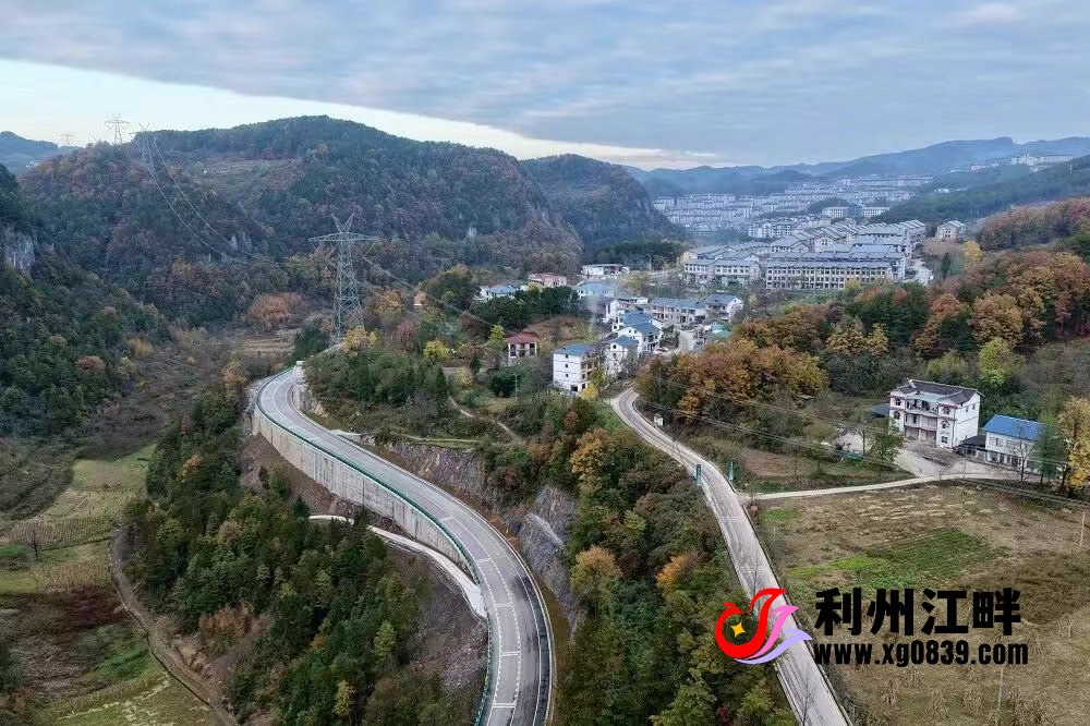 图片[1]-专注于利州本地信息和服务为一体的网站朝天区曾荣路